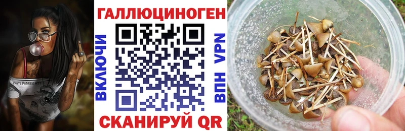 Галлюциногенные грибы Psilocybe  ОМГ ОМГ ссылки  Калач-на-Дону 